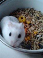 /album/merri/a2014-04-18-18-31-50-jpg/